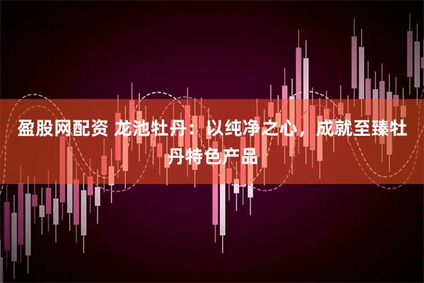 盈股网配资 龙池牡丹：以纯净之心，成就至臻牡丹特色产品