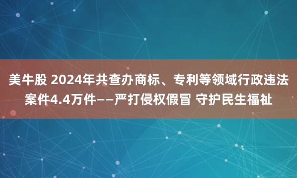 美牛股 2024年共查办商标、专利等领域行政违法案件4.4万件——严打侵权假冒 守护民生福祉