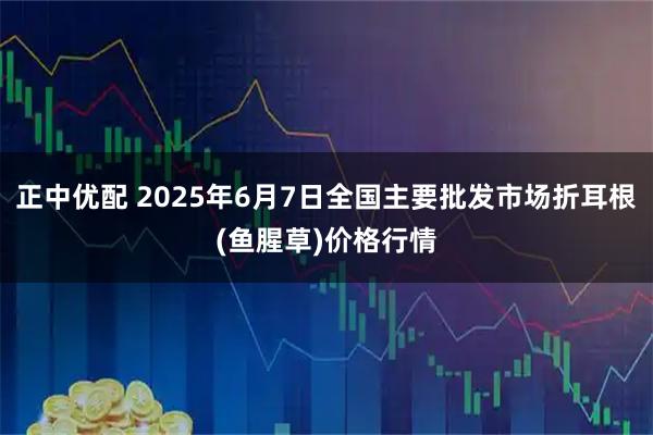 正中优配 2025年6月7日全国主要批发市场折耳根(鱼腥草)价格行情