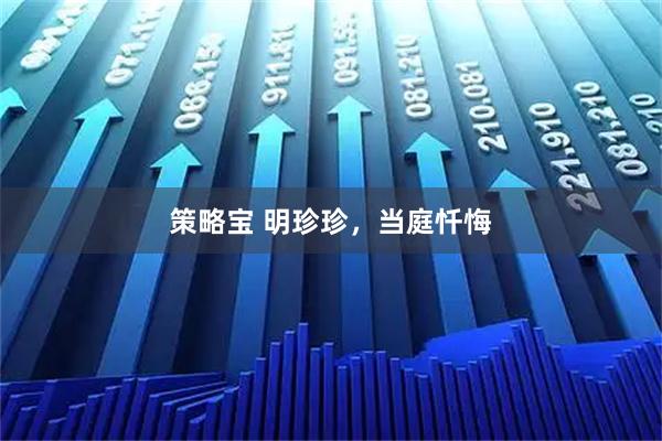 策略宝 明珍珍，当庭忏悔