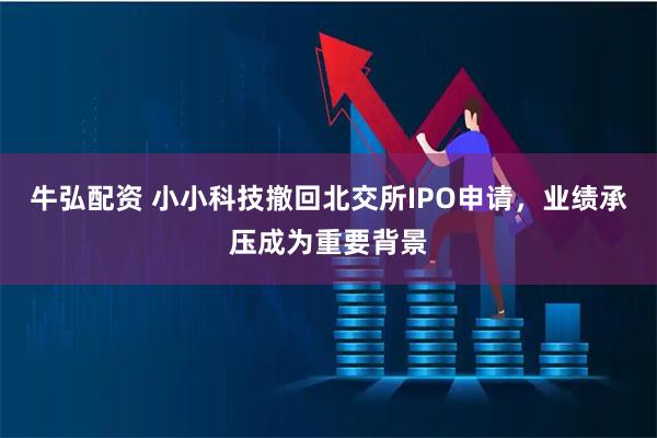 牛弘配资 小小科技撤回北交所IPO申请，业绩承压成为重要背景